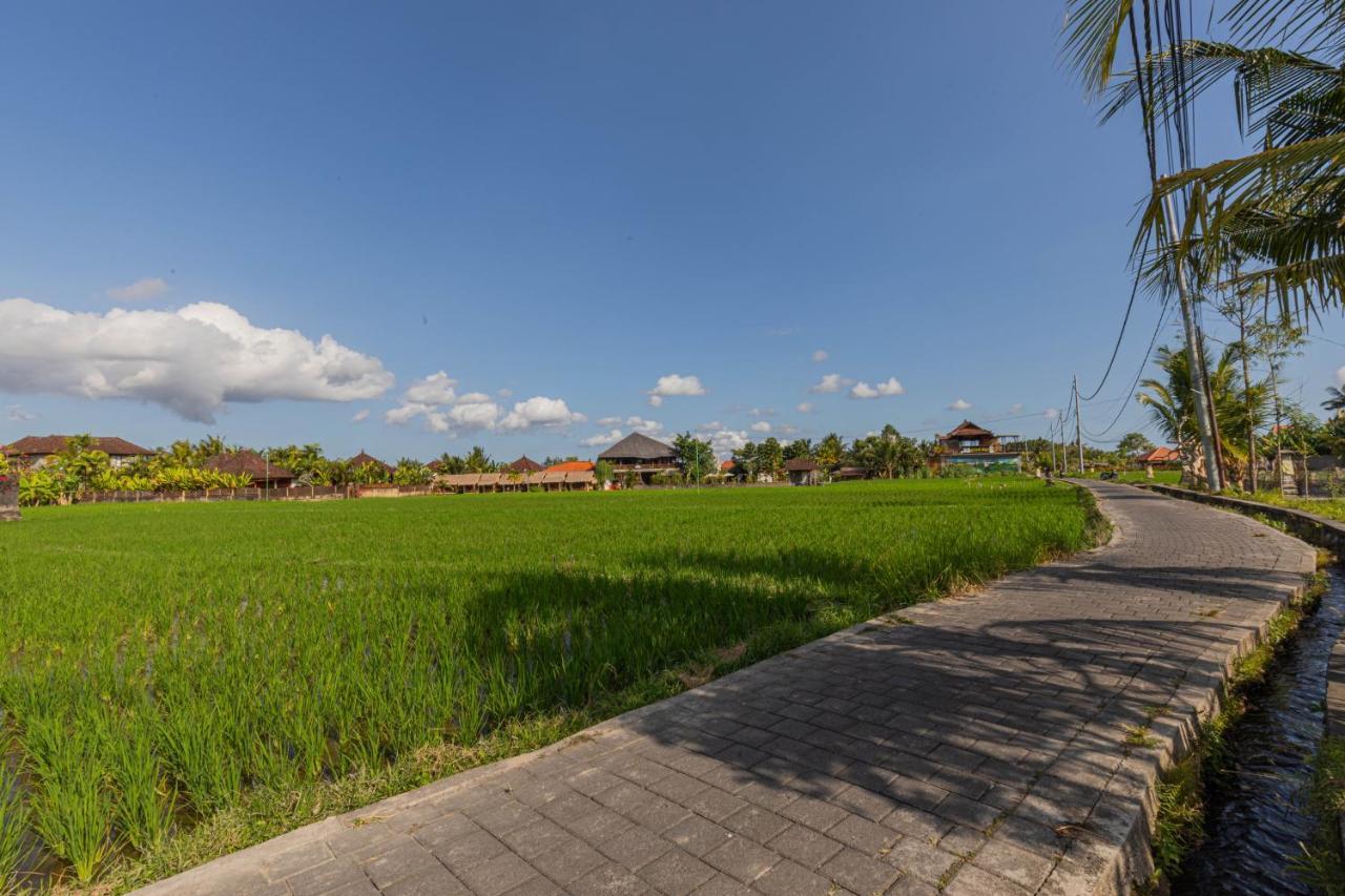 Niluh Private Villas Ubud Exterior foto