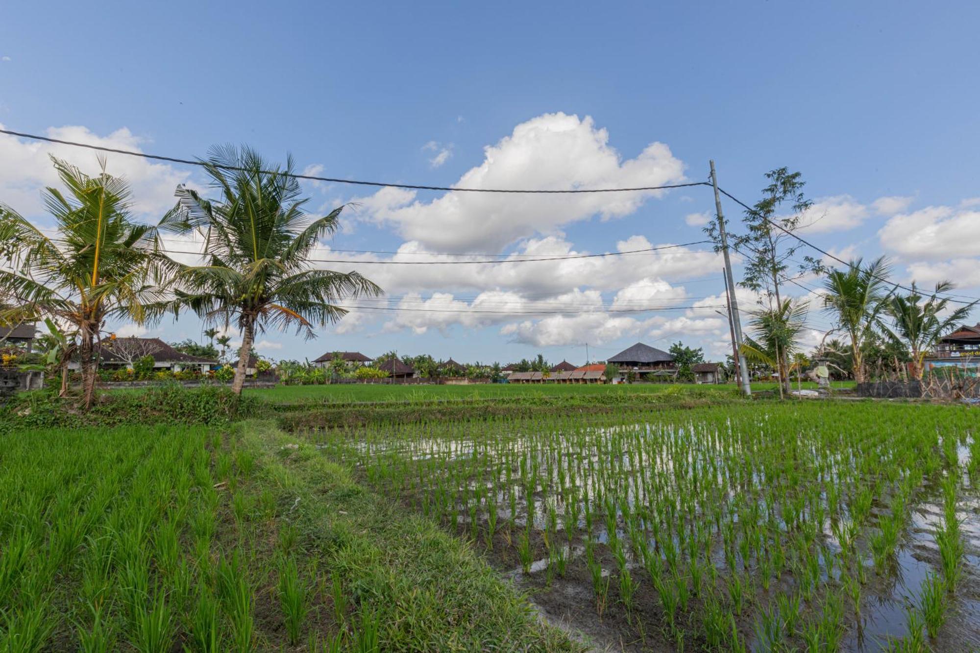 Niluh Private Villas Ubud Exterior foto